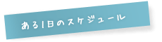 ある1日のスケジュール